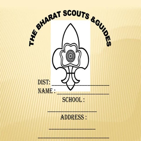 Scout and Guide Logbook 