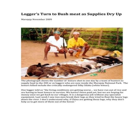 Loggers turn to bush meat as supplies run dry up