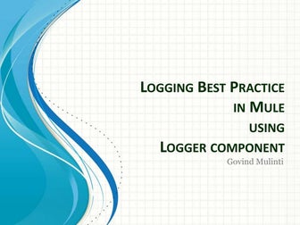 Logging best practice in mule using logger component