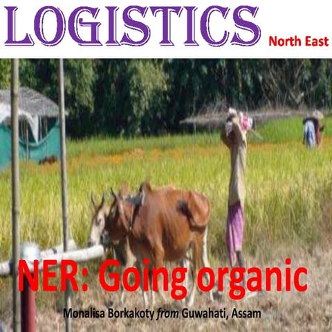LOGISTICSNorthEast-6