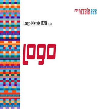 Logo Netsis B2B Sunumu 