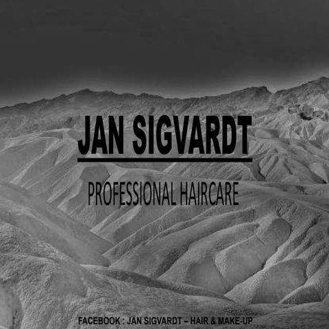 Logo præsentation 001