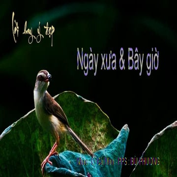 Loi  Hay Y Dep -  Ngay Xua - Bay Gio - Bui Phuong