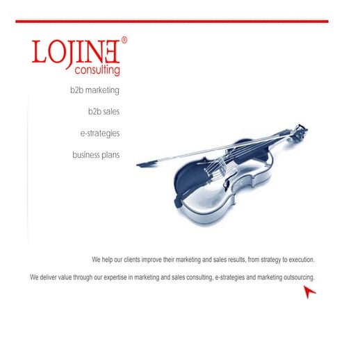 Lojine Consulting Profile