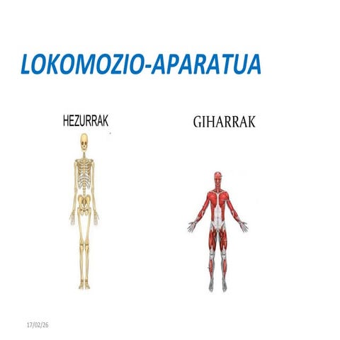 Lokomozio aparatua cheyenne, nagore eta susana