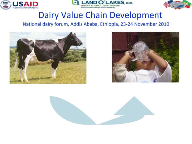 Dairy Value Chain Development