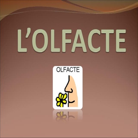 Lolfacte