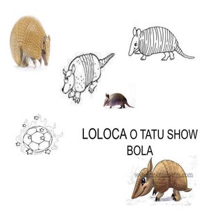Loloca o tatu bola