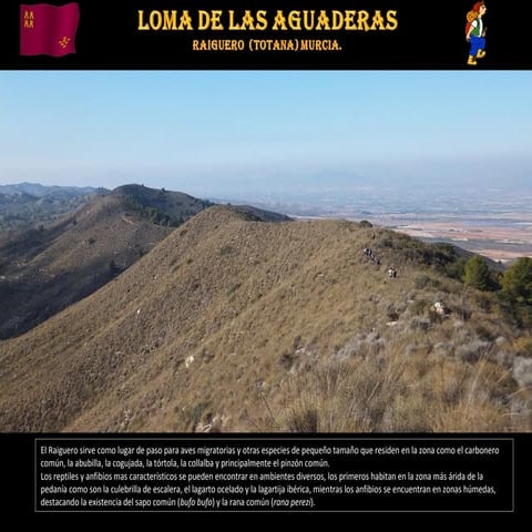 Loma de las Aguaderas 