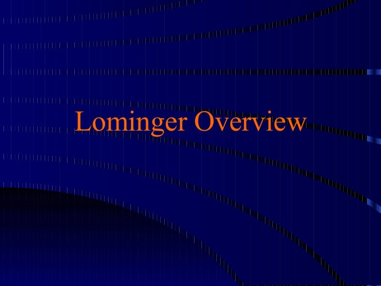 Lominger Overview