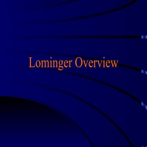 Lominger Overview