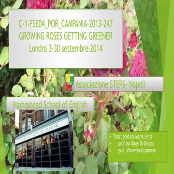 Stage a Londra PON C1 - 2014