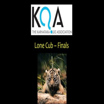 2019 Lone Cub - Finals