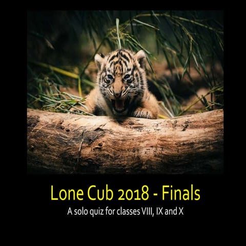 2018 Lone Cub - Finals
