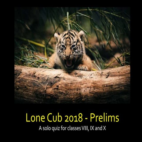 2018 Lone Cub - Prelims