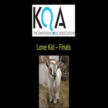 2019 Lone Kid - Finals