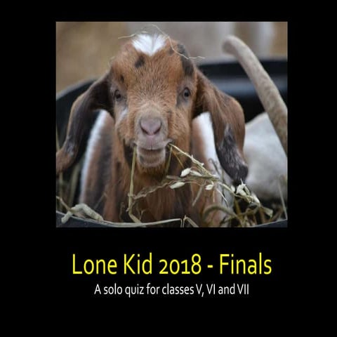 2018 Lone Kid - Finals
