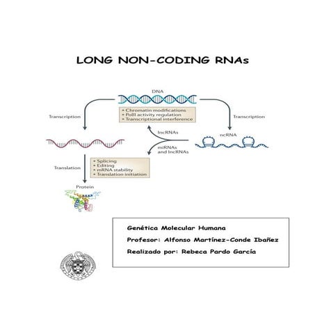 Long non coding RNAs | PDF