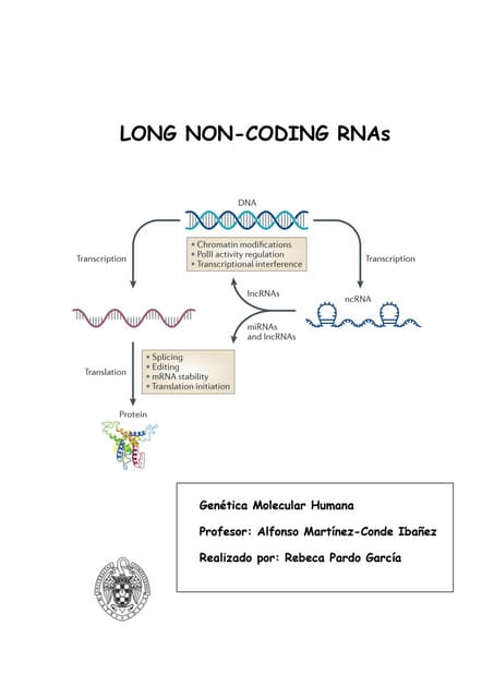 Radioimmunoassay (RIA) | PPTX | Medical Tests | Medical Health