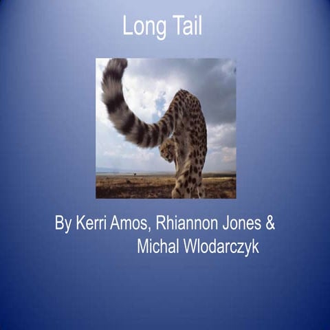 The long tail | PPTX