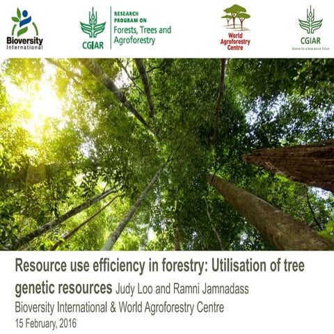  Resource use efficiency in forestry: Utilisation of tree genetic resources 