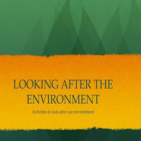Looking after the environment