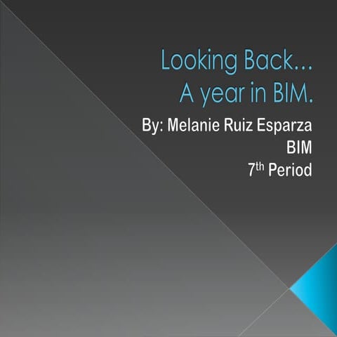 Looking Back-BIM