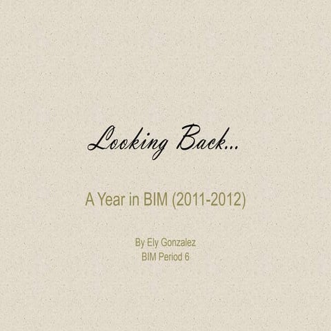 Looking back.... a year in bim
