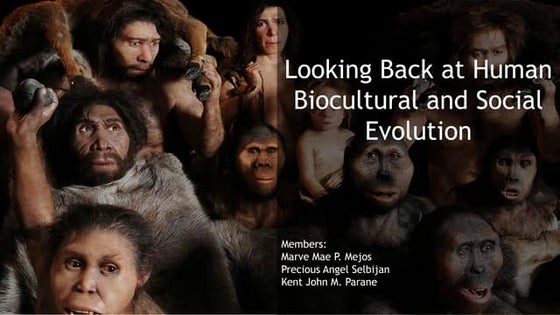 Significance of Cultural, Social, Political and Economic Symbols and ...