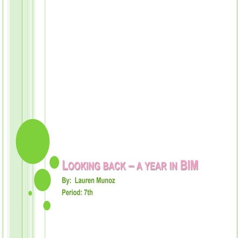 Looking back – a year in bim