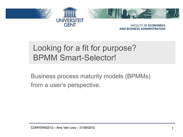 process and enterprise maturity model