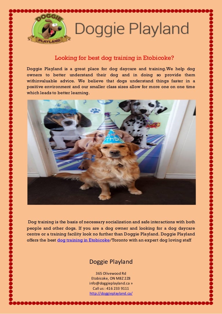 dog boarding etobicoke