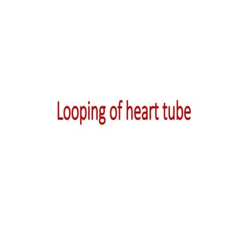 Development and Looping of the Embryonic Heart Tube: Formation of ...