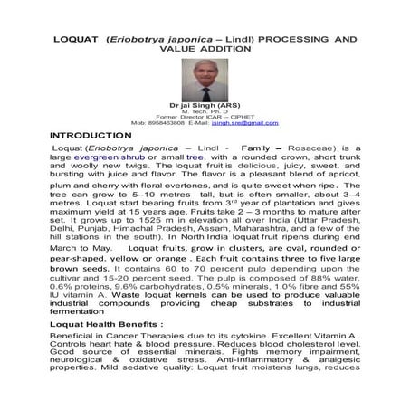 Loquat processing