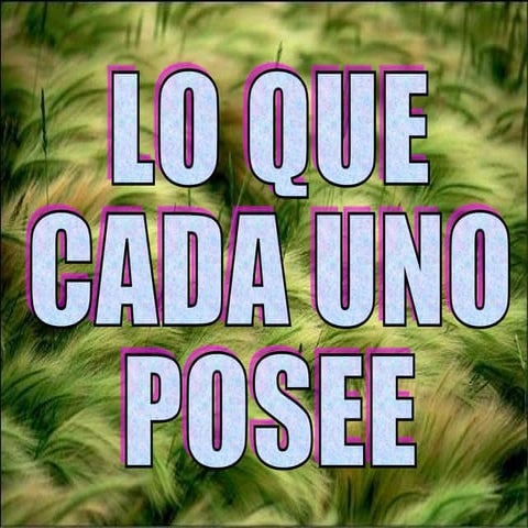 Loquecadaunoposee1
