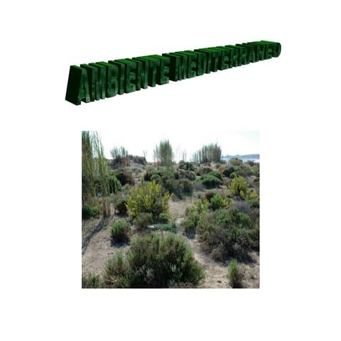 la prateria | PPT