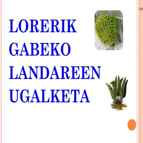 Lorerik gabeko landareak