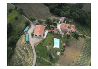 Loretta Lalli Il_Pino