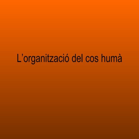 L’organització del cos humà | PPT