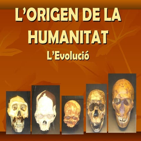 L’origen de la humanitat