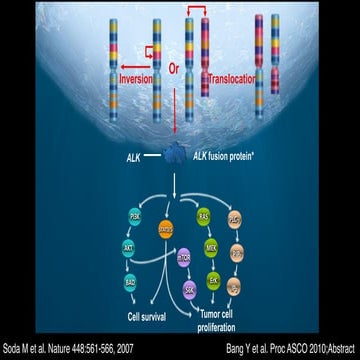 Lorlatinib alk positive lung cancer