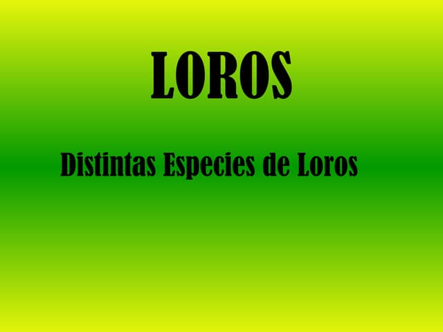 Loros