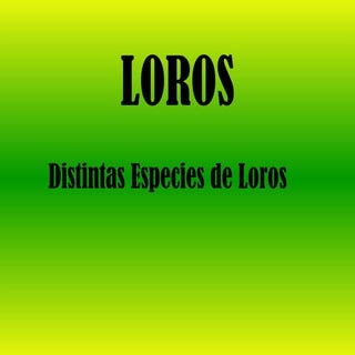Loros