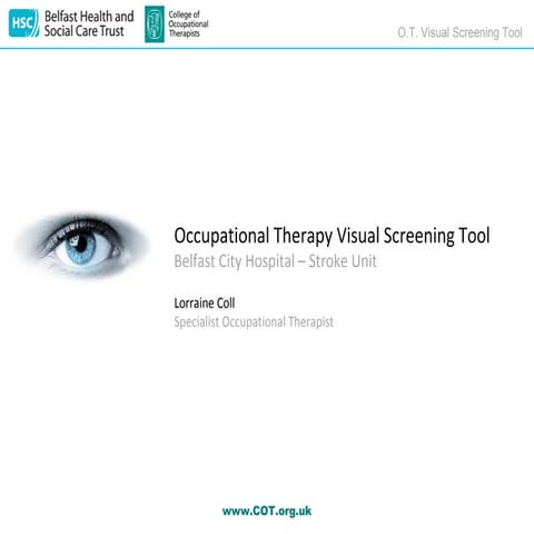 Occupational Therapy Visual Screening Tool 