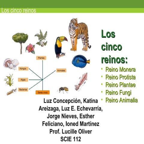 los-cinco-reinos-1226097229578230-8.ppt