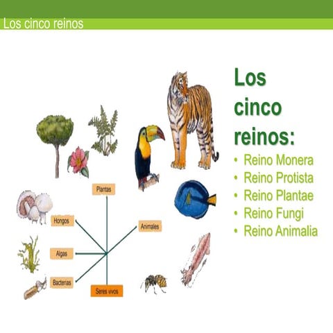 los-cinco-reinos.ppt