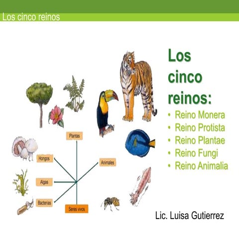los cinco reinos de la naturaleza animal. ppt