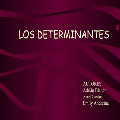 Los Determinantes- ADRIAN