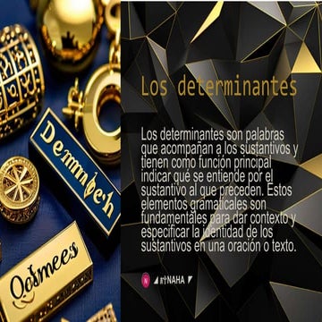 Los-determinantes.pptx del grupo 5.pptxx