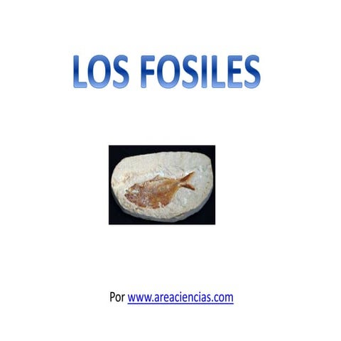 Fósiles | PPT